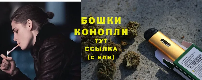 где найти   Знаменск  Канабис SATIVA & INDICA 